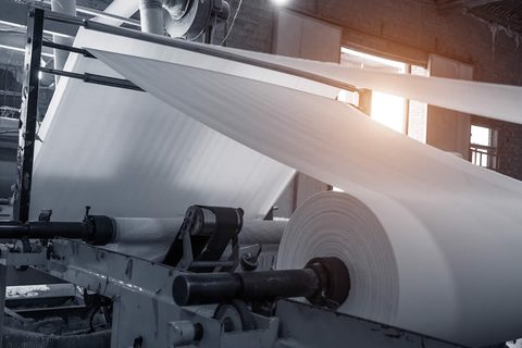 Paper rolls running on a paper machine, pulp and paper mill